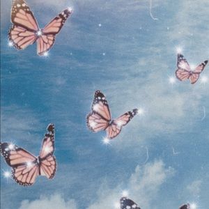 Meet your Posher, Nereyda